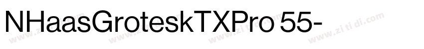 NHaasGroteskTXPro 55字体转换